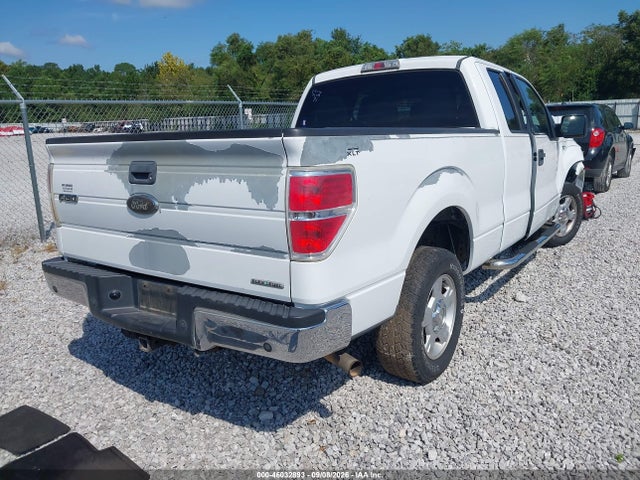 46032893 :رقم المزاد ، 1FTEX1CM7BKE20464 vin ، 2011 Ford F-150 Stx/xl/xlt مزاد بيع