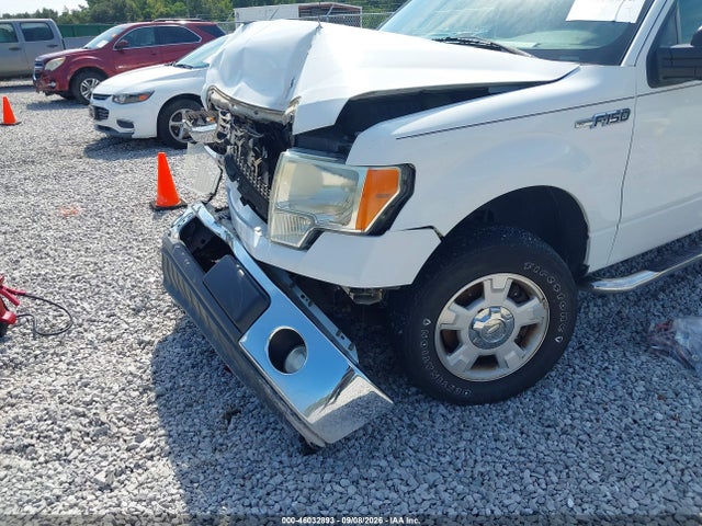 46032893 :رقم المزاد ، 1FTEX1CM7BKE20464 vin ، 2011 Ford F-150 Stx/xl/xlt مزاد بيع