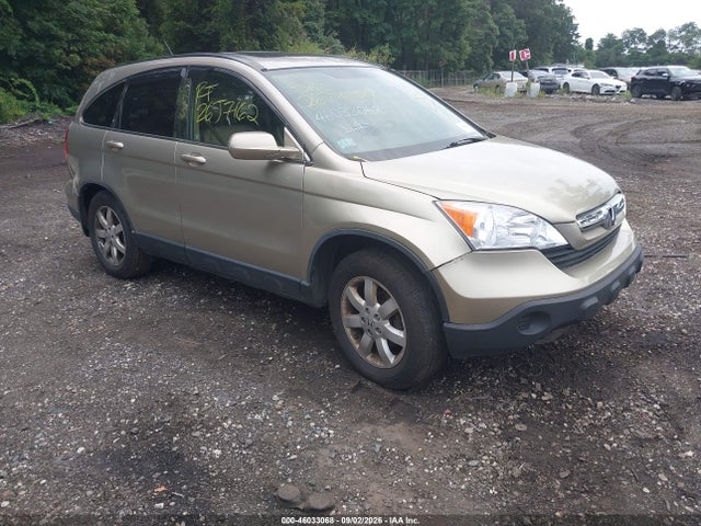 Aukcja sprzedaży 2007 Honda Cr-v Ex-l, vin: JHLRE48747C124026, numer aukcji: 46033068