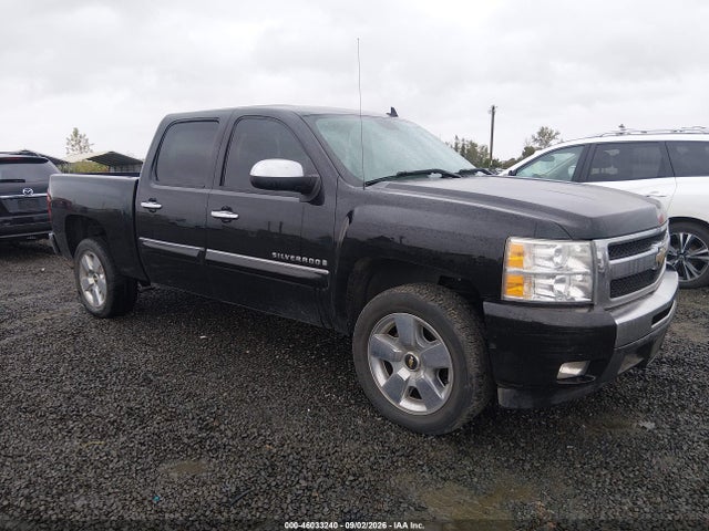 46033240 :رقم المزاد ، 3GCEC23029G271137 vin ، 2009 Chevrolet Silverado 1500 Lt مزاد بيع