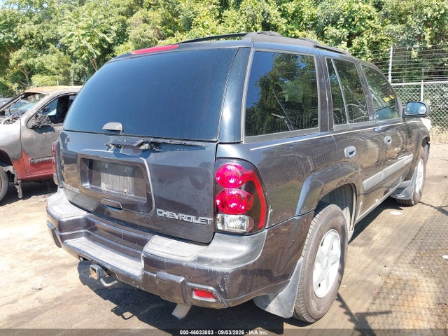 Продажа на аукционе авто 2003 Chevrolet Trailblazer Ls, vin: 1GNDS13S632284877, номер лота: 46033803