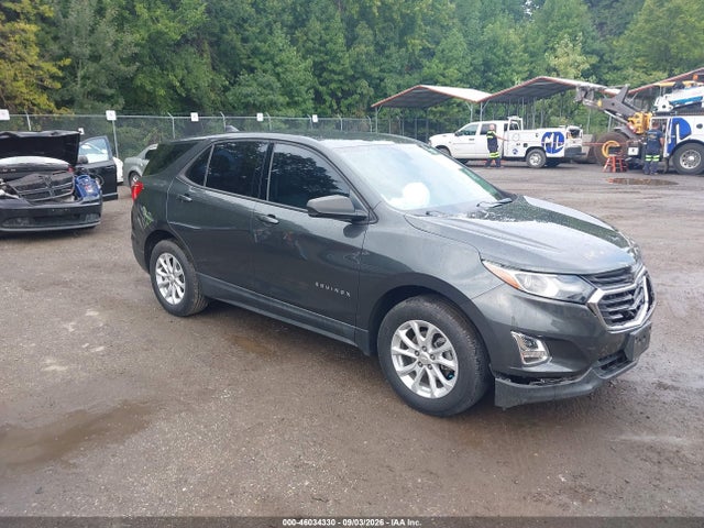 Продажа на аукционе авто 2019 Chevrolet Equinox Ls, vin: 3GNAXHEV4KS564787, номер лота: 46034330