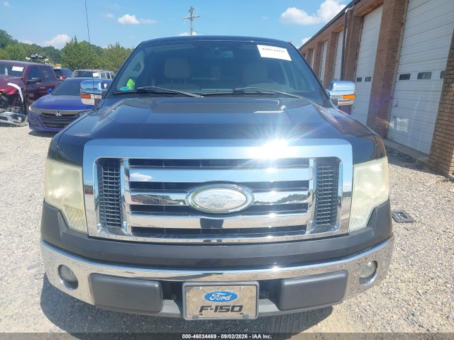 Продаж на аукціоні авто 2009 Ford F-150 Xlt, vin: 1FTRW12859FA27090, номер лоту: 46034469