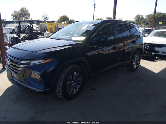46034527 :رقم المزاد ، KM8JBCD12RU220311 vin ، 2024 Hyundai Tucson Hybrid Blue مزاد بيع