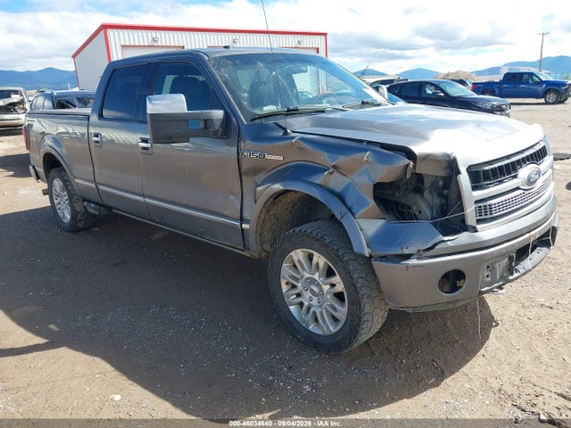 2010 Ford F-150 Fx4/harley-davidson/king Ranch/lariat/platinum/xl/xlt მანქანა იყიდება აუქციონზე, vin: 1FTFW1EV0AFB45315, აუქციონის ნომერი: 46034640