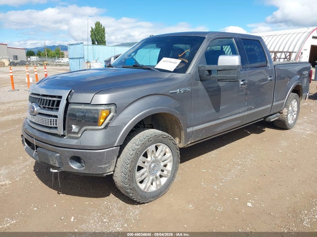 2010 Ford F-150 Fx4/harley-davidson/king Ranch/lariat/platinum/xl/xlt მანქანა იყიდება აუქციონზე, vin: 1FTFW1EV0AFB45315, აუქციონის ნომერი: 46034640