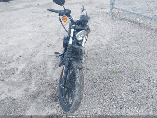2021 Harley-davidson Xl883 N მანქანა იყიდება აუქციონზე, vin: 1HD4LE215MB408384, აუქციონის ნომერი: 46034791