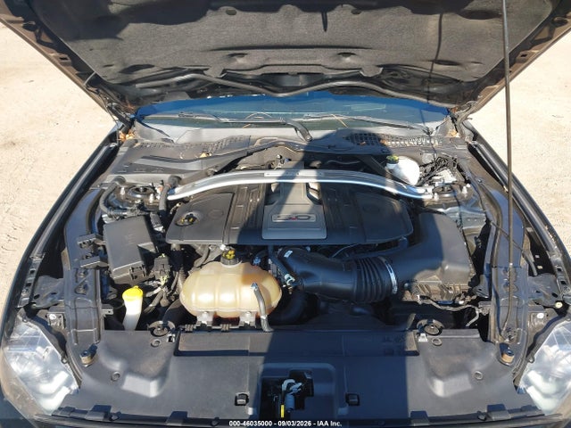 1FATP8FF6K5187789 Ford Mustang Gt Premium