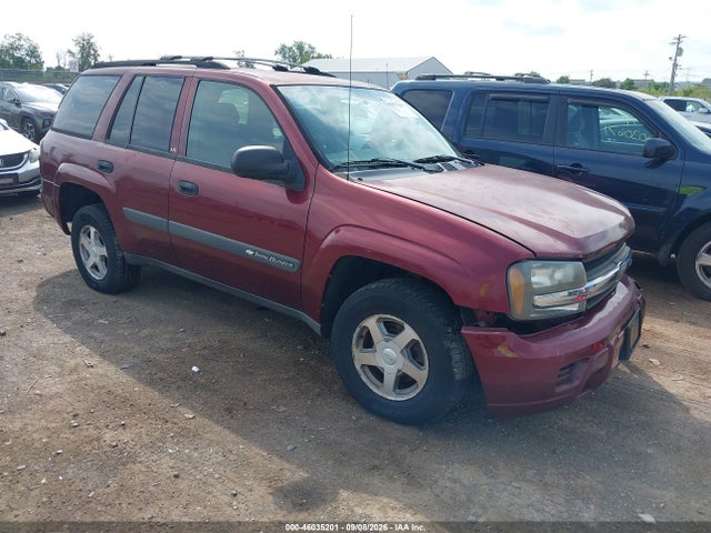 2004 Chevrolet Trailblazer Ls მანქანა იყიდება აუქციონზე, vin: 1GNDS13SX42402771, აუქციონის ნომერი: 46035201