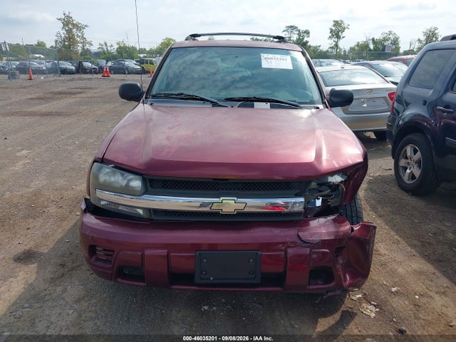 2004 Chevrolet Trailblazer Ls მანქანა იყიდება აუქციონზე, vin: 1GNDS13SX42402771, აუქციონის ნომერი: 46035201