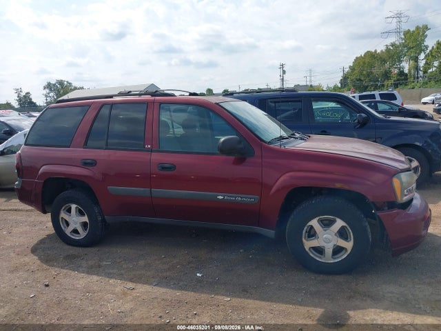 2004 Chevrolet Trailblazer Ls მანქანა იყიდება აუქციონზე, vin: 1GNDS13SX42402771, აუქციონის ნომერი: 46035201