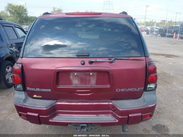2004 Chevrolet Trailblazer Ls მანქანა იყიდება აუქციონზე, vin: 1GNDS13SX42402771, აუქციონის ნომერი: 46035201