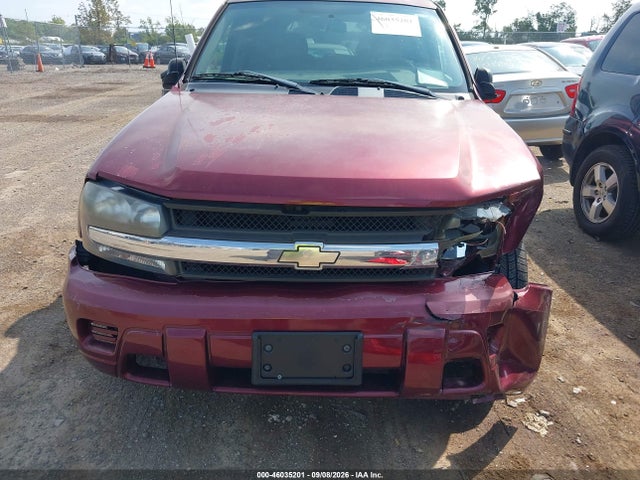 2004 Chevrolet Trailblazer Ls მანქანა იყიდება აუქციონზე, vin: 1GNDS13SX42402771, აუქციონის ნომერი: 46035201