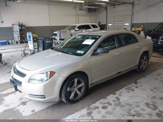 Продажа на аукционе авто 2011 Chevrolet Malibu 1lt, vin: 1G1ZC5E15BF321912, номер лота: 46035458