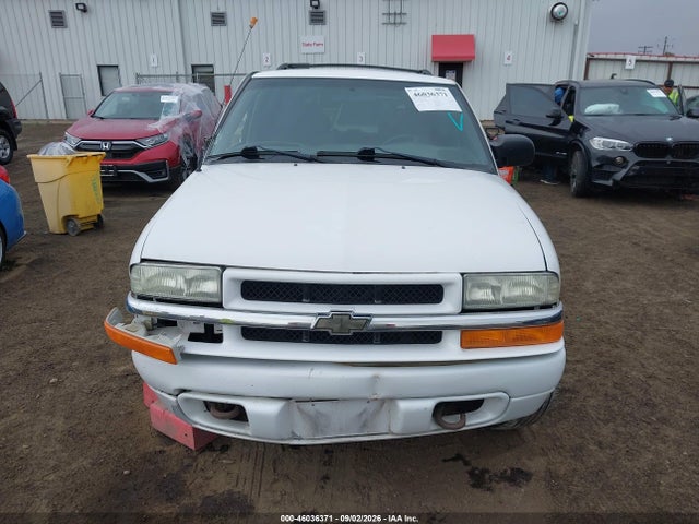 2003 Chevrolet Blazer Ls მანქანა იყიდება აუქციონზე, vin: 1GNDT13X53K173200, აუქციონის ნომერი: 46036371
