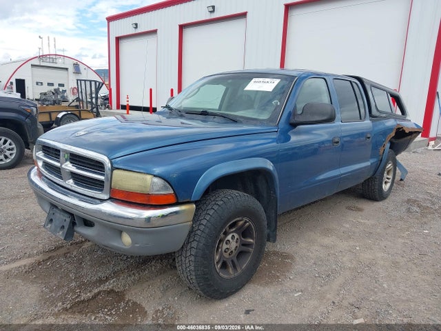 Продаж на аукціоні авто 2003 Dodge Dakota Sport/sxt, vin: 1D7HG38N33S261654, номер лоту: 46036835
