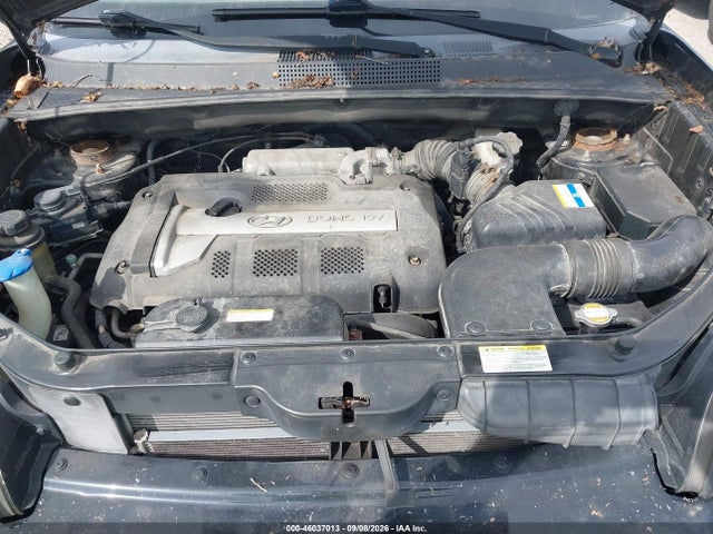 Продаж на аукціоні авто 2006 Hyundai Tucson Gl, vin: KM8JM12B46U396024, номер лоту: 46037013