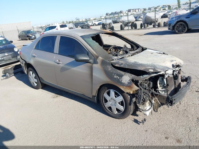 46037471 :رقم المزاد ، 1NXBU4EE8AZ328460 vin ، 2010 Toyota Corolla Le مزاد بيع