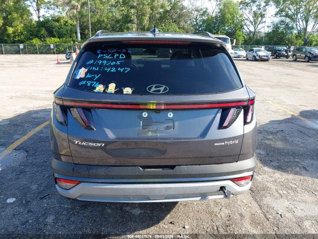 Продажа на аукционе авто 2025 Hyundai Tucson Hybrid Sel Convenience, vin: KM8JCDD13SU294247, номер лота: 46037576