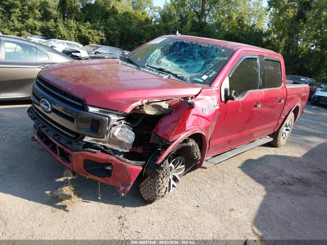 Aukcja sprzedaży 2019 Ford F-150 Xlt, vin: 1FTEW1EP7KFB79136, numer aukcji: 46037648
