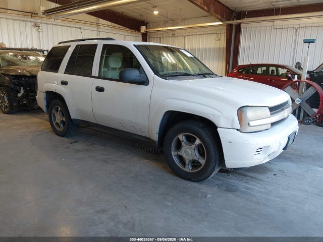 Продаж на аукціоні авто 2008 Chevrolet Trailblazer Fleet, vin: 1GNDT13S382261383, номер лоту: 46038367