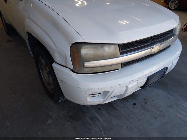 46038367 :رقم المزاد ، 1GNDT13S382261383 vin ، 2008 Chevrolet Trailblazer Fleet مزاد بيع
