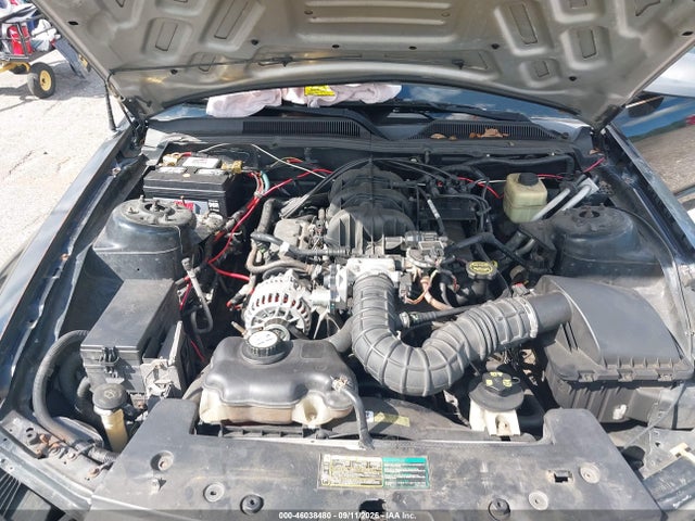 2006 Ford Mustang V6 მანქანა იყიდება აუქციონზე, vin: 1ZVFT84N465110340, აუქციონის ნომერი: 46038480