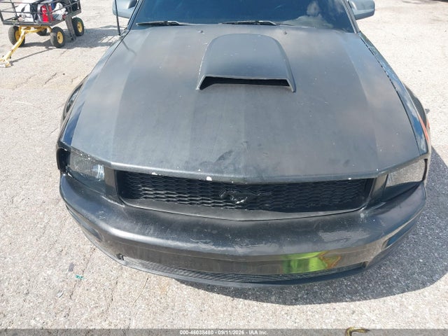 2006 Ford Mustang V6 მანქანა იყიდება აუქციონზე, vin: 1ZVFT84N465110340, აუქციონის ნომერი: 46038480