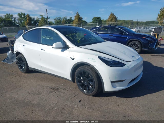 Tesla Model Y Awd/long Range Dual Motor All-wheel Drive 2023 7SAYGAEEXPF666791 главное изображение