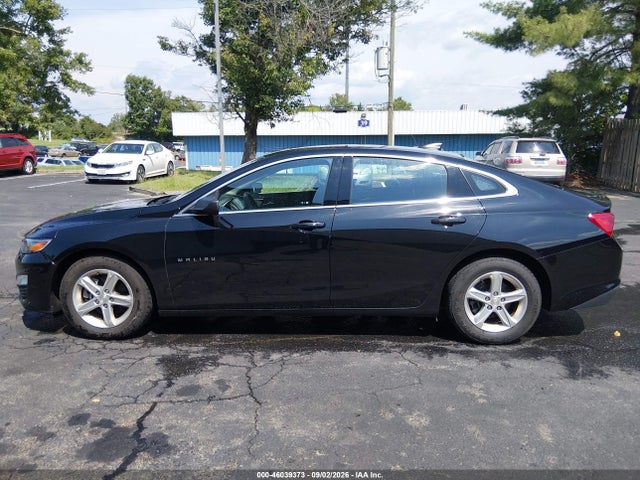 Auction sale of the 2020 Chevrolet Malibu Fwd 1fl, vin: 1G1ZC5ST6LF150501, lot number: 46039373