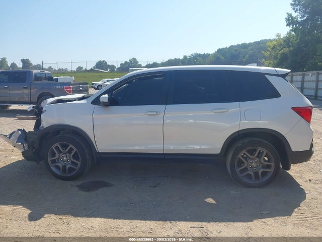 2023 Honda Passport Awd Ex-l მანქანა იყიდება აუქციონზე, vin: 5FNYF8H53PB010260, აუქციონის ნომერი: 46039663