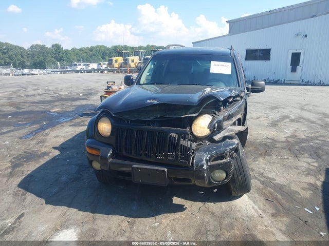 Aukcja sprzedaży 2003 Jeep Liberty Limited Edition, vin: 1J4GL58K73W687434, numer aukcji: 46039862