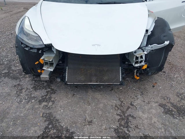 Tesla Model 3 Rear-wheel Drive 2023 5YJ3E1EA6PF423683 Image 6
