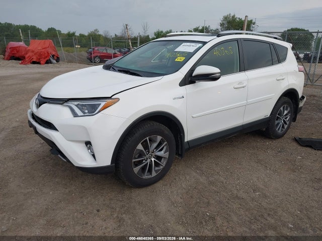 JTMRJREV5GD043460 Toyota Rav4 Hybrid Xle