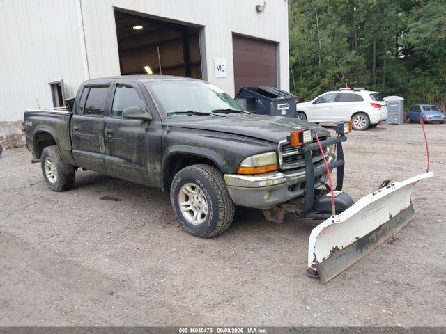 2004 Dodge Dakota Slt მანქანა იყიდება აუქციონზე, vin: 1D7HG48N94S735341, აუქციონის ნომერი: 46040478