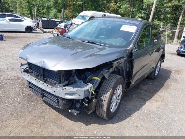Продажа на аукционе авто 2024 Ford Escape Active, vin: 1FMCU9GN4RUB24166, номер лота: 46040621