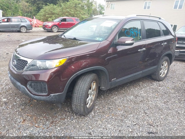 Продаж на аукціоні авто 2013 Kia Sorento Lx V6, vin: 5XYKTDA20DG372607, номер лоту: 46040894