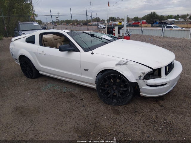 2005 Ford Mustang Gt Deluxe/gt Premium მანქანა იყიდება აუქციონზე, vin: 1ZVFT82H455209705, აუქციონის ნომერი: 46041339