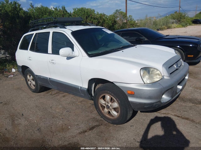 Auction sale of the 2005 Hyundai Santa Fe Gls, vin: KM8SC73D55U968310, lot number: 46043037