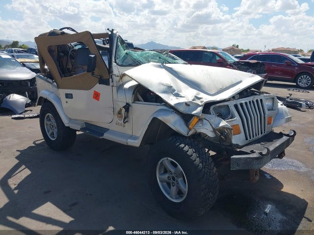 46044213 :رقم المزاد ، 1J4FY49S2SP288235 vin ، 1995 Jeep Wrangler / Yj Sahara مزاد بيع