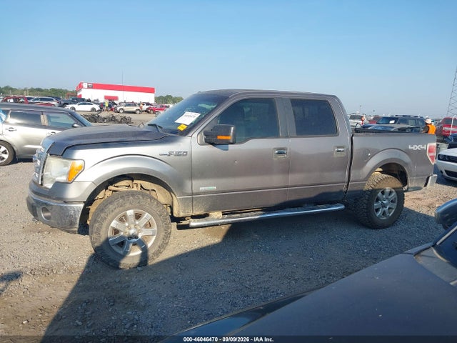 Продажа на аукционе авто 2014 Ford F-150 Xlt, vin: 1FTFW1ET0EKF16081, номер лота: 46046470