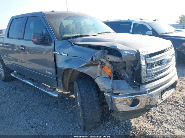 Продажа на аукционе авто 2014 Ford F-150 Xlt, vin: 1FTFW1ET0EKF16081, номер лота: 46046470