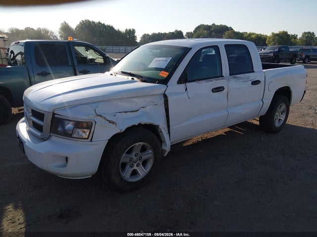 2010 Dodge Dakota Bighorn/lonestar მანქანა იყიდება აუქციონზე, vin: 1D7CE3GK4AS164239, აუქციონის ნომერი: 46047159