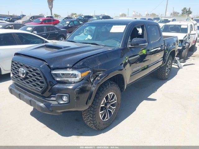 Toyota Tacoma Trd Sport 2023 3TMCZ5AN9PM637776 Image 2