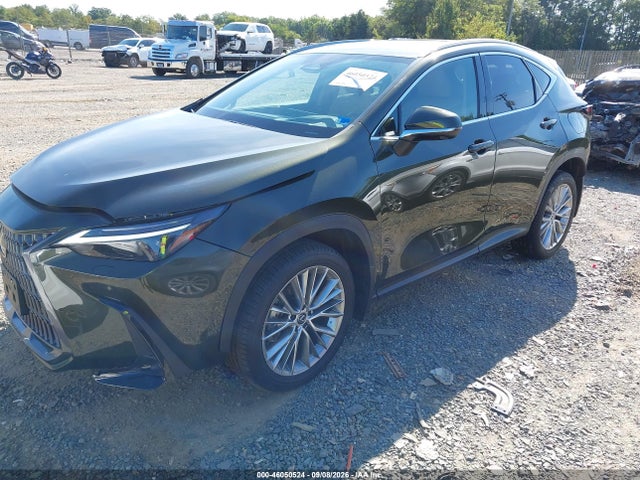 Продаж на аукціоні авто 2024 Lexus Nx 350 Luxury, vin: 2T2HGCEZ4RC035632, номер лоту: 46050524