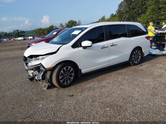 Aukcja sprzedaży 2021 Honda Odyssey Ex-l, vin: 5FNRL6H70MB023451, numer aukcji: 46051228