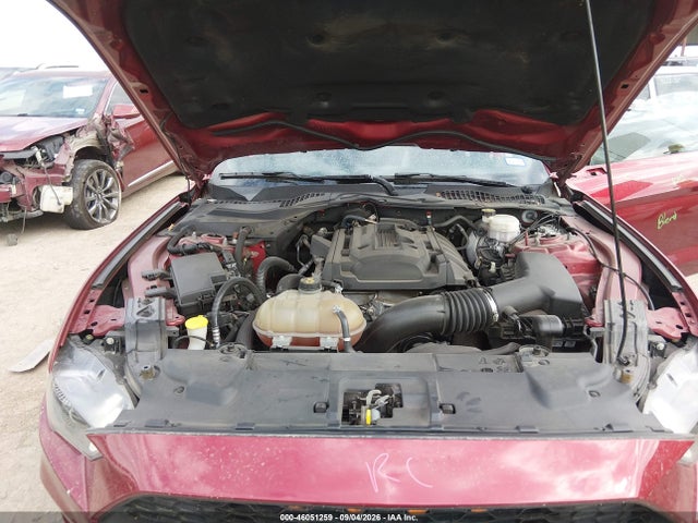 2019 Ford Mustang Ecoboost მანქანა იყიდება აუქციონზე, vin: 1FA6P8TH5K5134083, აუქციონის ნომერი: 46051259