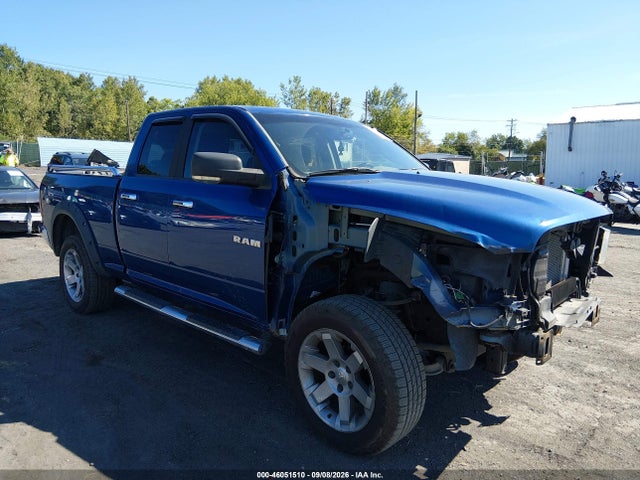 Auction sale of the 2010 Dodge Ram 1500 Slt/sport/trx, vin: 1D7RV1GP3AS256503, lot number: 46051510
