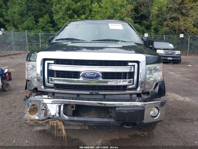 Продажа на аукционе авто 2014 Ford F-150 Xlt, vin: 1FTEX1EM4EFB11416, номер лота: 46051687