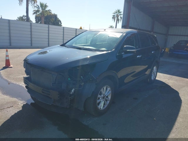5XYPG4A5XKG489063 KIA Sorento 3.3l Lx